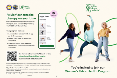 Pelvic Floor exercise therapy on your time